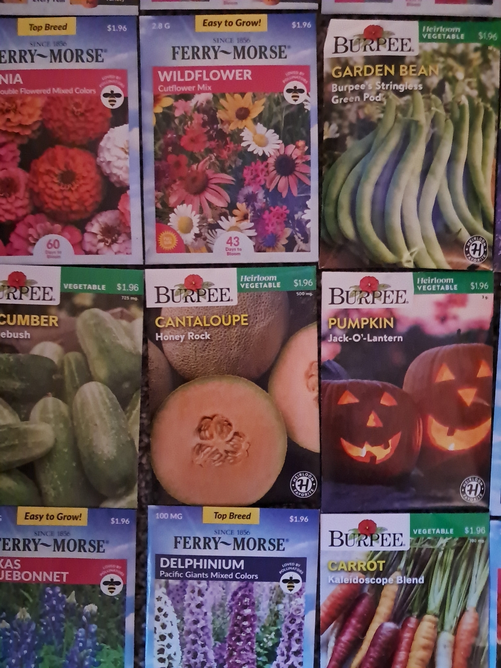 Assorted Seed Packet Collection - Multicolor - Picture 7 of 8